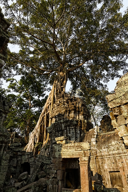 Ta Phrom et environs-122